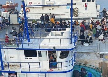 120 Düzensiz Göçmen Yakalandı