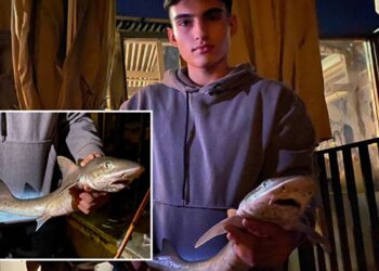 19 yaşındaki Mert Kurt Çengelköy Sahilinde Yavru Köpek Balığı Yakaladı