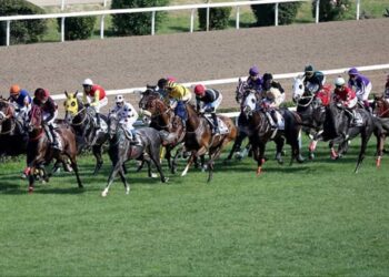 97. Gazi Koşusu İçin Heyecan İstanbul’da Yaşanacak