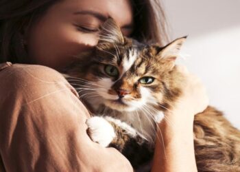 ABD’de Bir Doktor Hastasına Kedi Reçete Etti