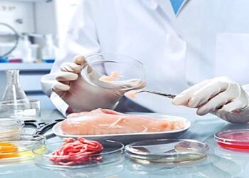 ABD’de Laboratuvarda Üretilen Tavuk Eti İlk Kez Satışa Sunuluyor 