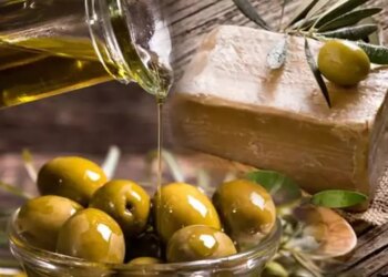 Altın Değerinde Formül! Zeytinyağının Saçtaki Mucizevi Etkisi