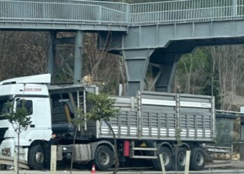 Arızaya Bakmak İçin İndiği Tır Hareket Edince Yaralandı