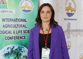 Ayçiçeği Sapları Gıda Ambalajında Kullanılacak