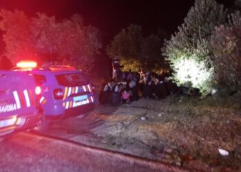 Ayvacık’ta Düzensiz Göçmen Operasyonuyla 37 Afganistan Uyruklu Yakalandı