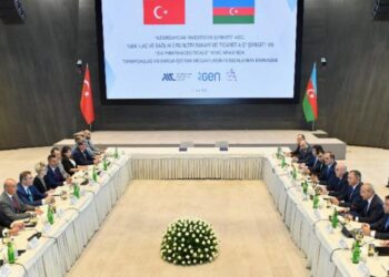 Azerbaycan’a birinci ilaç fabrikasını kuracak