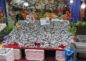 Balık Sezonu İstavrit İle Taçlanıyor