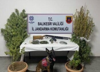 Balıkesir Ayvalık’ta Uyuşturucu Operasyonu: 7 Zanlı Tutuklandı