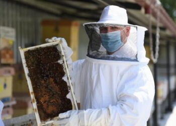 Balıkesir balları dünya sofralarında