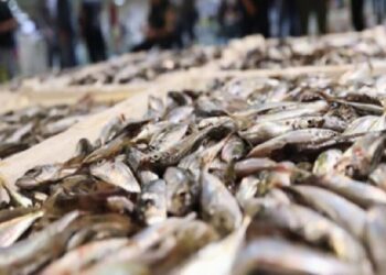 Balıklar da artırımlardan nasibini aldı! Hangi balık nasıl pişirilir?