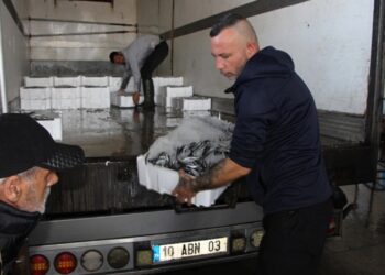 Bandırma’da Balık Bolluğu Yaşanıyor