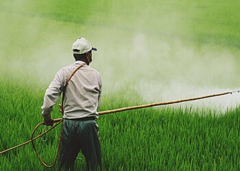 Başarılı İlaçlama İçin Soğuk Havalar Tercih Edilmemeli