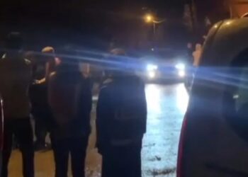 Beykoz’da Köpeğe Şiddet Uygulayan Kişi Gözaltına Alındı