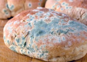 Bilecik Hastanesinde Dağıtılan Küflü Ekmek Olayı İçin Soruşturma Başlatıldı