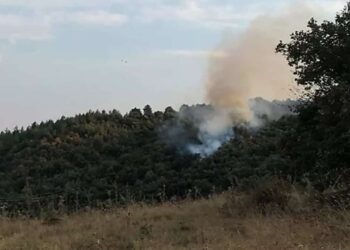 Bilecik’teki Orman Yangını İtfaiye Ve Köylülerin Müdahalesiyle Kontrol Altına Alındı