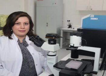 Bursa Teknik Üniversitesi’nden Yenilikçi Sağlık Projesi: Kronik Yara Takibi Artık Daha Kolay!