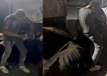 Büyükbaş Hayvana Eziyet Eden 4 Kişi Gözaltına Alındı