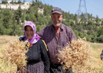 Büyükşehir’den toprağa rahmet takviyesi