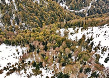 Çam Dağı Kar Yağışının Ardından Beyaz Örtüyle Kaplandı