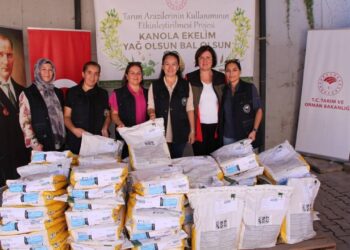 Çan İlçesinde Üreticilere Yüzde 75 Hibeli Kanola Tohumları Dağıtıldı