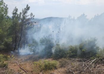 Çanakkale’de 6 Orman Yangınının 5’i Başarıyla Söndürüldü