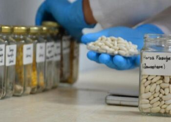 Cet tohumları emin ellerde