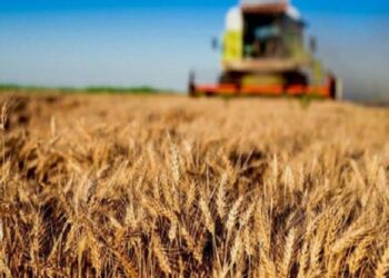 Çiftçilere ‘bakanlık’ dopingi