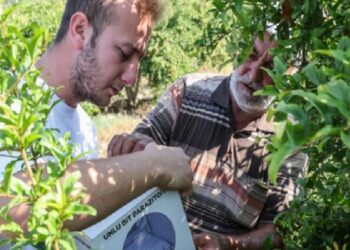 Çiftçilere böcek dayanağı