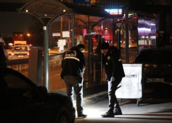 Doğan Mahallesi’nde Meydana Gelen Cinayette Zanlı Tutuklandı