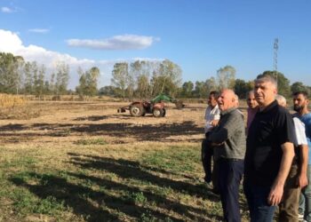 Edirne Tarım ve Orman Müdürü Yangında Zarar Gören Çiftliğe Ziyaret Gerçekleştirdi