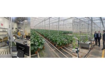 Edirne Valisi Termal Seralarda İncelemede Bulundu