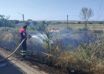 Edirne’de Çıkan Anız Yangını Söndürüldü