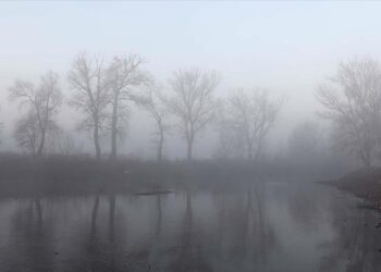 Edirne’de Etkili Olan Sis Görüş Mesafesini Düşürdü