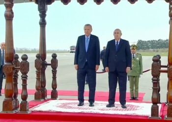 Erdoğan Cezayir Cumhurbaşkanı Tebbun İle İkili Görüşmeye Başladı