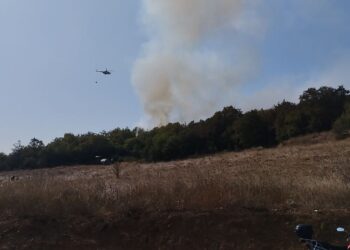 Gebze’de Çıkan Orman Yangınına Havadan Ve Karadan Müdahale Devam Ediyor