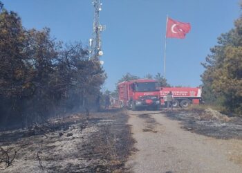 Gebze’deki Orman Yangını Hızlı Müdahale İle Kontrol Altına Alındı