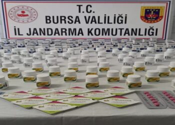 Gemlik’te Kaçak İlaç Operasyonunda 2 Zanlı Gözaltına Alındı