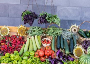 Gerçek organik besin nasıl anlaşılır?