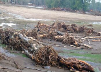 GÜNCELLEME 4 – Kırklareli’nde taşkın nedeniyle ormanda mahsur kalanlardan 2’sinin cesedi bulundu, 4 kişinin aranmasına devam ediliyor