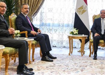 Hakan Fidan, Cumhurbaşkanı Sisi İle Görüştü