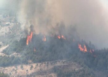 Hatay Antakya’daki yangına müdahale sürüyor