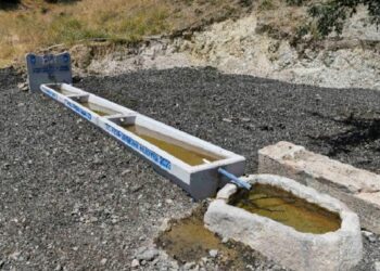 Hayvancılığa sıvat dayanağı