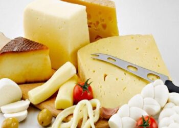 Hayvansal eserlere Arabistan vizesi