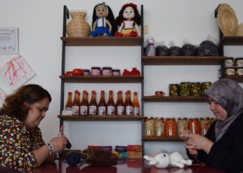 İnhisarlı Kadınlar Hayallerini Gerçekleştirmek İçin Kooperatif Kurdular