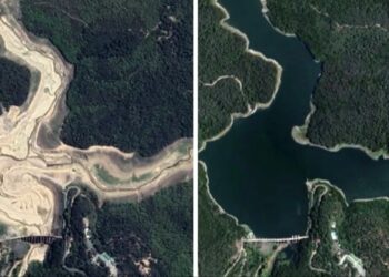 İstanbul’daki Barajlar Alarm Veriyor