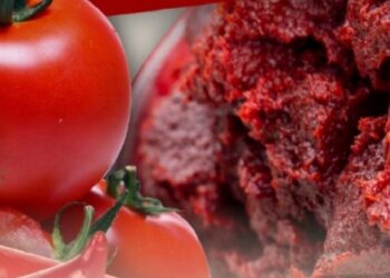 İzmir Efes Selçuk’ta salça vakti