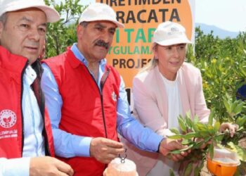 İzmir’de Akdeniz Meyve Sineği ile gayret… 5 bin tuzak dağıtılıyor