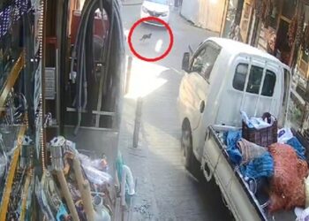 Kamyonet Sokak Kedisini Ezdi! Kameralar Görüntüledi