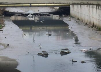 Kanalizasyon Akıntısı Beylikdüzü’nde Kötü Kokuya Neden Oldu
