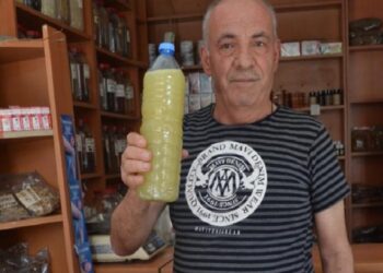 Kanser tedavisine bitkisel destek